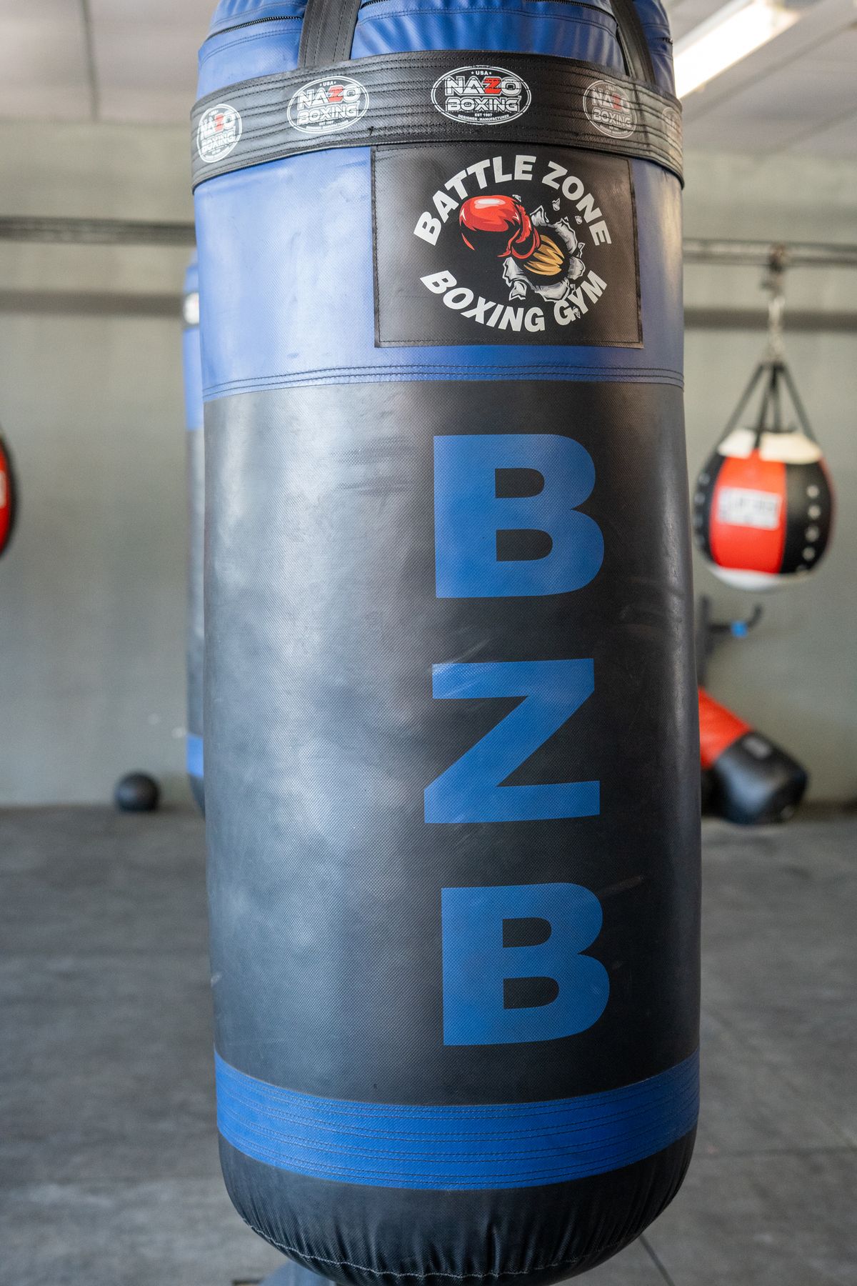 Battle Zone Boxing
